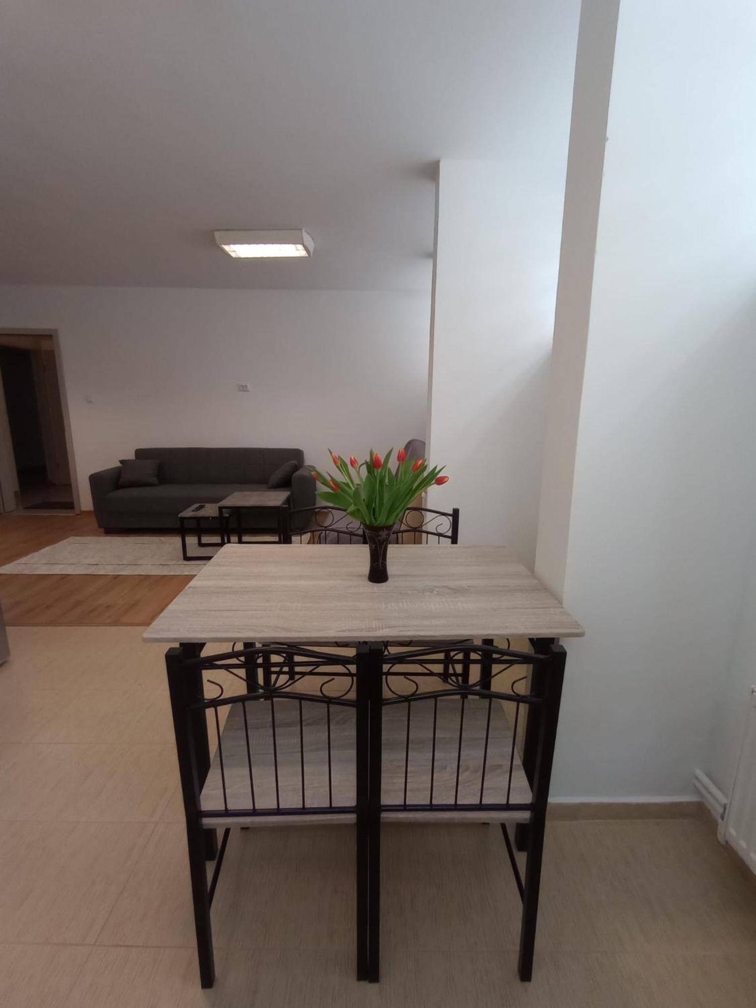 Central Kronstadt Apartments 布拉索夫 外观 照片
